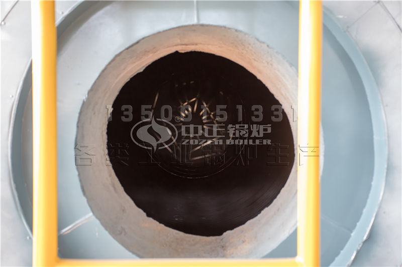 10噸 WNS系列冷凝式燃?xì)庹羝仩t項目（譽衡藥業(yè)）-醫(yī)藥行業(yè)案例